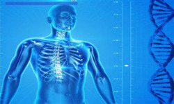 critcare cuerpo humano